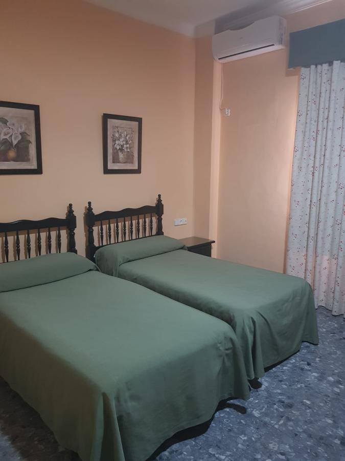 Hostal Hispalis マイレナ・デル・アルコール エクステリア 写真